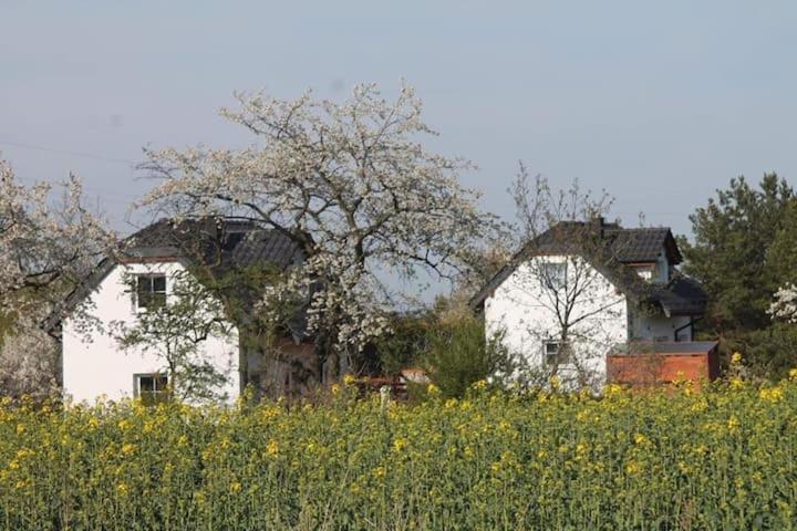 Domek W Bialej - Mak Marcinowice Bagian luar foto